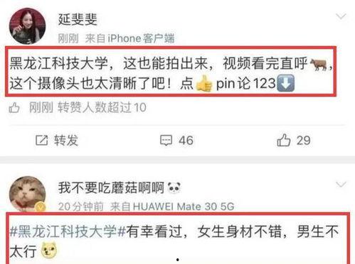 黑科大视频爆料,揭秘校园生活背后的真实故事